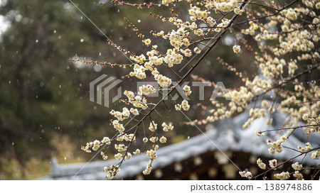 Gangneung Ojukheon 138974886