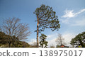 Gangneung Ojukheon 138975017