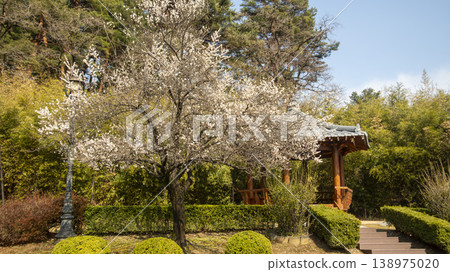 Gangneung Ojukheon Gangneung Ojukheon 138975020