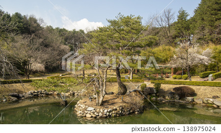 Gangneung Ojukheon Gangneung Ojukheon 138975024