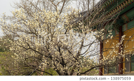 Gangneung Ojukheon 138975059