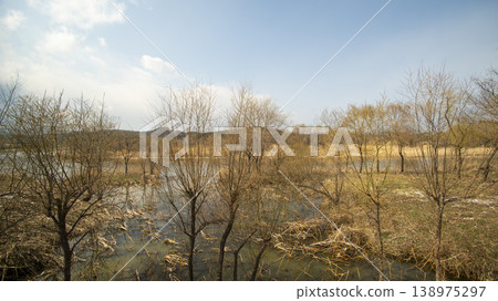 Gangneung Gyeongpo Lake 138975297