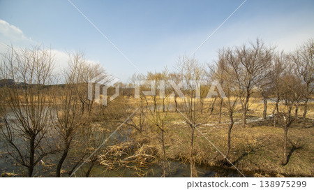 Gangneung Gyeongpo Lake 138975299