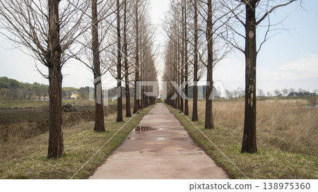 Gangneung Gyeongpo Lake 138975360