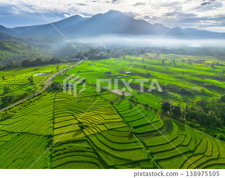 Beautiful morning view in Indonesia, panoramic landscape of rice fields with mountain ranges and clear sky Beautiful morning view in Indonesia, panoramic landscape of rice fields with mountain ranges and clear sky 138975505