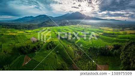 Beautiful morning view in Indonesia, panoramic landscape of rice fields with mountain ranges and clear sky Beautiful morning view in Indonesia, panoramic landscape of rice fields with mountain ranges and clear sky 138975509