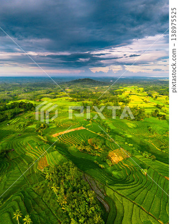 Beautiful morning view in Indonesia, panoramic landscape of rice fields with mountain ranges and clear sky 138975525