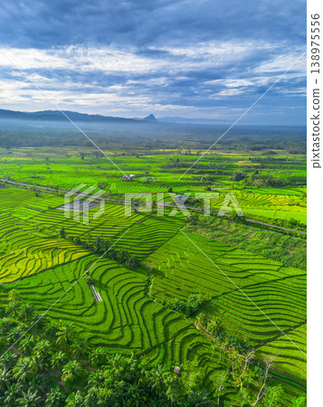 Beautiful morning view in Indonesia, panoramic landscape of rice fields with mountain ranges and clear sky 138975556