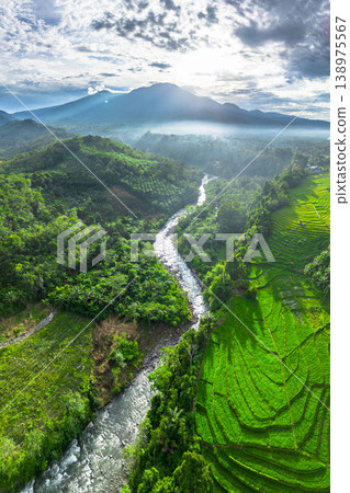 Beautiful morning view in Indonesia, panoramic landscape of rice fields with mountain ranges and clear sky 138975567