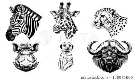 African Wildlife Animal Heads Collection Monochrome Illustrations African Wildlife Animal Heads Collection Monochrome Illustrations 138975609