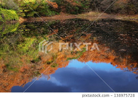 Autumn leaves Autumn leaves 138975728
