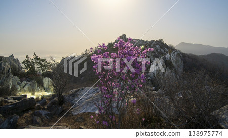 Gangjin Jujaksan 138975774