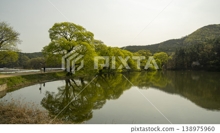 Gyeongsan Bangokji Gyeongsan Bangokji 138975960