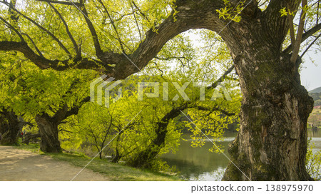 Gyeongsan Bangokji Gyeongsan Bangokji 138975970