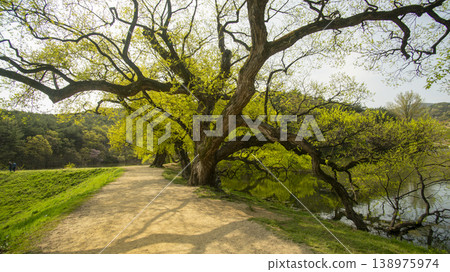 Gyeongsan Bangokji 138975974
