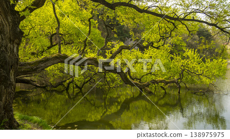 Gyeongsan Bangokji Gyeongsan Bangokji 138975975