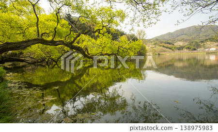 Gyeongsan Bangokji 138975983