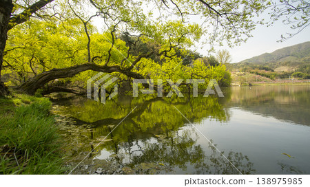 Gyeongsan Bangokji 138975985