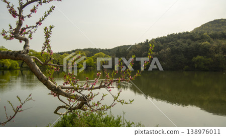 Gyeongsan Bangokji Gyeongsan Bangokji 138976011