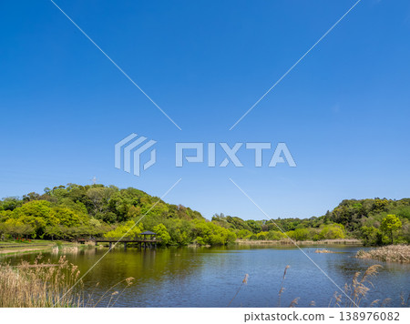 A fresh green park landscape that shines against the blue sky [Matsudo City, Chiba Prefecture, 21st century forest and open space] 138976082