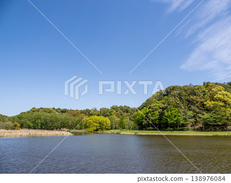 A fresh green park landscape that shines against the blue sky [Matsudo City, Chiba Prefecture, 21st century forest and open space] 138976084