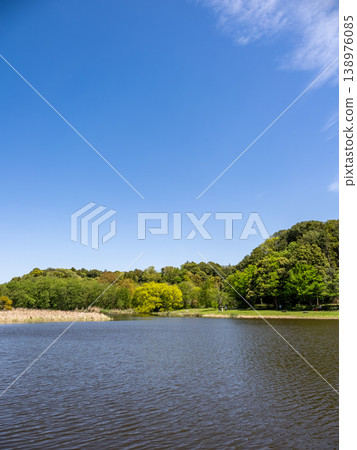 映襯著藍天的清新綠色公園景觀【千葉縣松戶市21世紀森林與開放空間】 映襯著藍天的清新綠色公園景觀【千葉縣松戶市21世紀森林與開放空間】 138976085