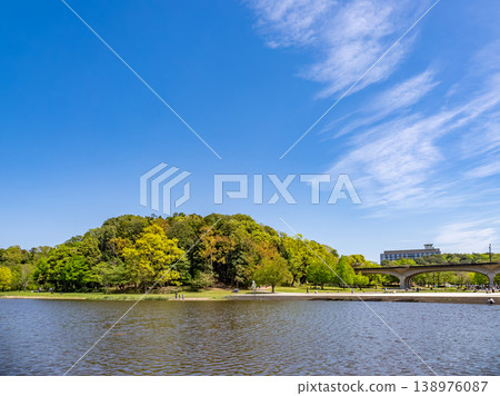 映襯著藍天的清新綠色公園景觀【千葉縣松戶市21世紀森林與開放空間】 映襯著藍天的清新綠色公園景觀【千葉縣松戶市21世紀森林與開放空間】 138976087