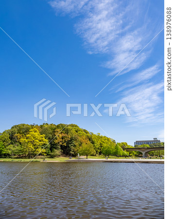 A fresh green park landscape that shines against the blue sky [Matsudo City, Chiba Prefecture, 21st century forest and open space] 138976088