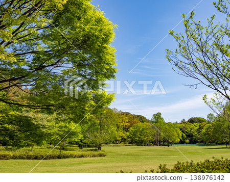 映襯著藍天的清新綠色公園景觀【千葉縣松戶市21世紀森林與開放空間】 138976142