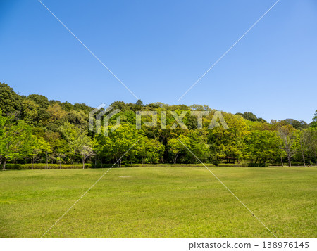 A fresh green park landscape that shines against the blue sky [Matsudo City, Chiba Prefecture, 21st century forest and open space] 138976145
