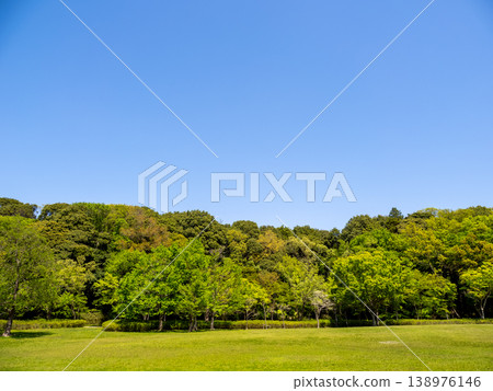 A fresh green park landscape that shines against the blue sky [Matsudo City, Chiba Prefecture, 21st century forest and open space] 138976146