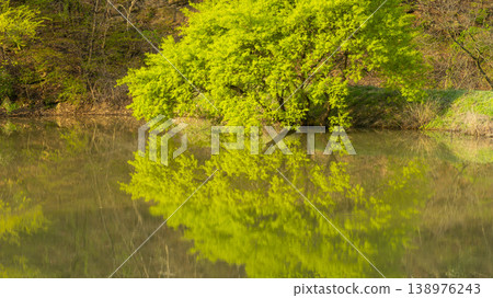 Gyeongsan Homyeongji 138976243