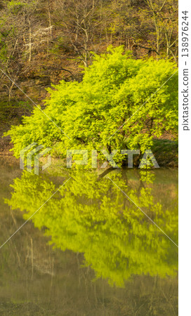 Gyeongsan Homyeongji 138976244