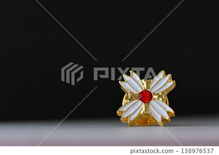 Prosecutor's badge (emblem) and image of a law book Prosecutor's badge (emblem) and image of a law book 138976537