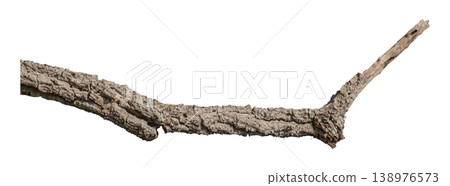 Dry branches isolated on a transparent background. Dry branches isolated on a transparent background. 138976573