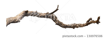 Dry branches isolated on a transparent background. Dry branches isolated on a transparent background. 138976586