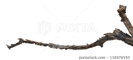 Dry branches isolated on a transparent background. Dry branches isolated on a transparent background. 138976593