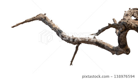 Dry branches isolated on a transparent background. Dry branches isolated on a transparent background. 138976594
