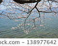 Cherry blossoms and lake surface 138977642