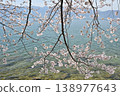 Cherry blossoms and lake surface 138977643