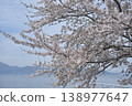 Cherry tree in full bloom  138977647