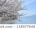 Cherry tree in full bloom  138977648