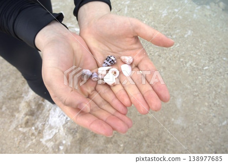 我雙手捧著在海灘上撿到的小貝殼。 138977685