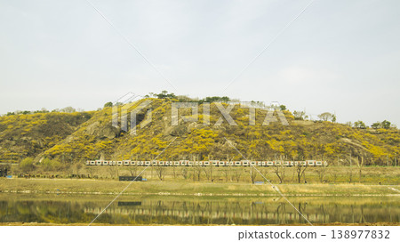 Eungbongsan Mountain Forsythia Eungbongsan Mountain Forsythia 138977832