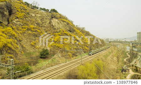 Eungbongsan Mountain Forsythia Eungbongsan Mountain Forsythia 138977846