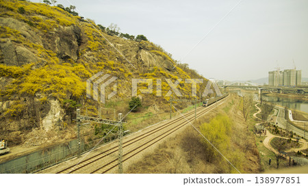 Eungbongsan Mountain Forsythia Eungbongsan Mountain Forsythia 138977851