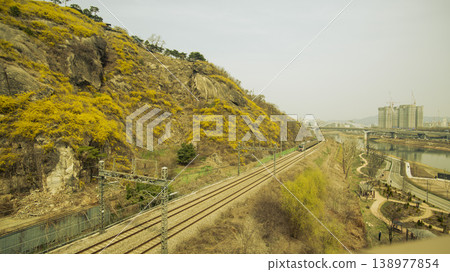 Eungbongsan Mountain Forsythia Eungbongsan Mountain Forsythia 138977854