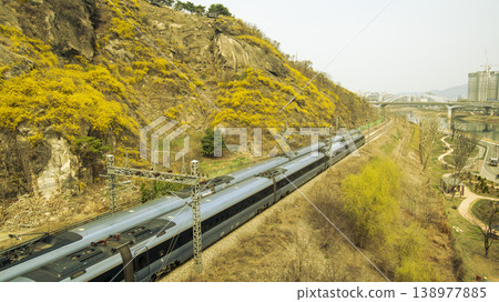 Eungbongsan Mountain Forsythia Eungbongsan Mountain Forsythia 138977885