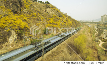 Eungbongsan Mountain Forsythia Eungbongsan Mountain Forsythia 138977904