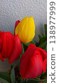 Red and yellow tulips 138977999